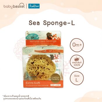 Sea Sponge Honeycomb Punapena ฟองน้ำธรรมชาติ 100% ถนอมผิวเด็ก อ่อนโยน บริสุทธิ์สำหรับทารก
